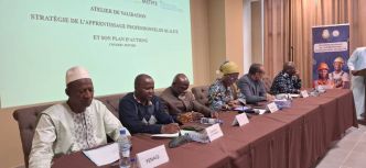 La Guinée valide sa stratégie nationale pour un apprentissage professionnel de qualité