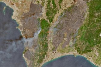 En Turquie, près d'Izmir, deux incendies hors de contrôle en raison de vents violents