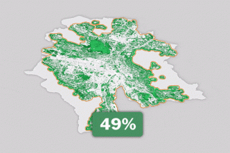 Outil interactif: Qui sont les champions et les cancres des espaces verts urbains en Suisse?
