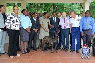 À Sainte-Lucie, l'agent canin Tyson, offert par la France, aurait été empoisonné