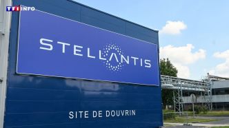 Automobile : 636.000 voitures équipées de moteurs 1.5 BlueHDi rappelées par Stellantis | TF1 INFO