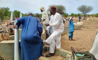 Tchad : le ministre de l'Elevage fait l'état des lieux des infrastructures financés par la Banque mondiale