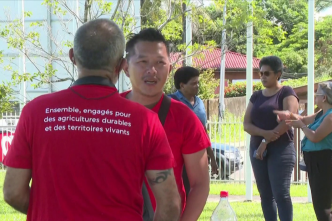 La colère gronde chez des agriculteurs en attente de financement en Guyane