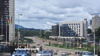 Cameroun : Une croissance économique en hausse de 3,5 % en 2024, portée par l'agriculture et les services