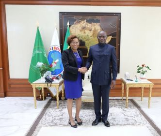 Gabon : le chef de l'Etat s'entretient avec l'ambassadeur des Etats-Unis