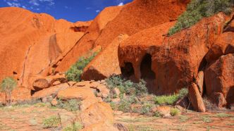 Dans une grotte australienne, des chercheurs découvrent d'intrigantes créatures momifiées