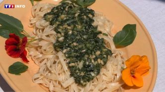 Bon et pas cher : la recette des pâtes fraîches au pistou provençal, un plat estival et convivial | TF1 INFO