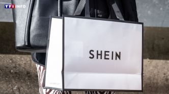 Shein sanctionné par la France d'une amende record de 40 millions d'euros pour pratiques commerciales trompeuses | TF1 INFO