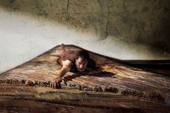 L'Homme qui rétrécit : Jean Dujardin face à un monde gigantesque