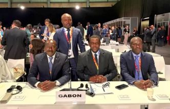 Financement du développement : Le Gabon s'active sur plusieurs fronts