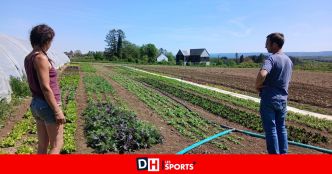 Malgré un printemps et un début d'été chauds et secs, la récolte est généreuse et précoce aux Légumes d'Emile et Camille, à Serinchamps