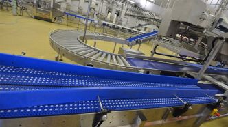 Guerre de la volaille : la Soficoop garde la main sur l'abattoir Evollys