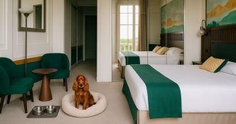 Ce Club Med devient Dog Friendly : voici combien vous coûtera votre chien pour une semaine en vacances 5 étoiles