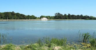 En plein coeur des Yvelines, ce joli étang caché va ravir les parisiens en quête de calme et de fraîcheur