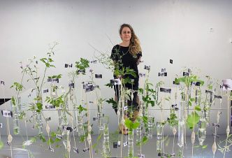 Paula Valero Comín, racine rebelle