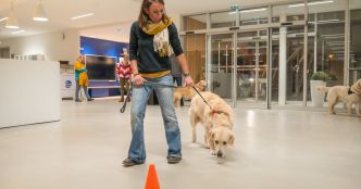 Le campus Ceva Santé Animale de Laval soutient l'accueil et l'éducation de chiens d'assistance