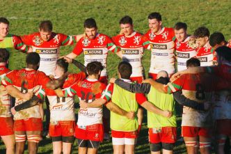 Rugby : découvrez toutes les compositions des poules fédérales masculines et féminines pour nos clubs