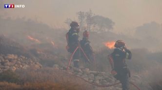 "Beaucoup de maisons ont déjà brûlé" : les images du violent incendie et des évacuations de touristes en Crète | TF1 INFO