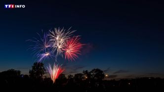 Puis-je tirer un feu d'artifice chez moi le 14 juillet ? | TF1 INFO