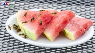 Ces astuces pour éloigner à coup sûr les guêpes pendant vos repas sur la terrasse | TF1 INFO