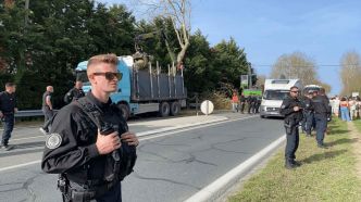 Les défenseurs de l'environnement toujours plus criminalisés en France