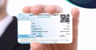 Commerce du « cabas » : l'ANAE ouvre les inscriptions à la carte officielle d'auto-importateur