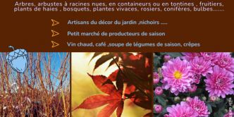 Fête de l'arbre et de l'automne à Rives-en-Seine (76)