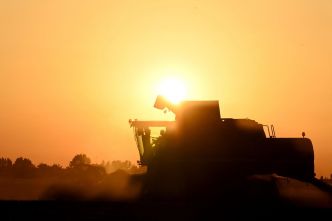 Canicules : pourquoi l'agriculture française doit se réinventer