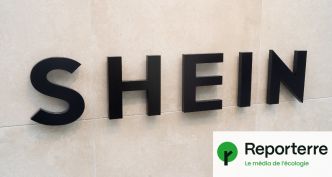 Shein sanctionné d'une amende record en France