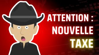 Impôts : Les Français Saignés Vifs