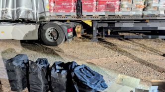 Un homme condamné à 5 ans de prison après la découverte de 127 kg de cocaïne au milieu d'un camion de croquettes pour chien