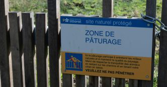 Le Sénat propose une cure d'amaigrissement pour les opérateurs de la transition écologique
