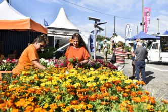 Festivals, salons, marchés... L'agenda du weekend