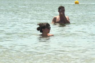 Canicule marine : "une anomalie thermique impressionnante", des eaux plus chaudes que la normale en Bretagne