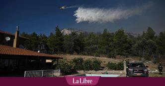 Feux de forêt : des touristes évacués en Crète