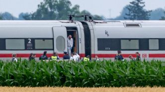 Allemagne : armé d'une hache et d'un marteau, un homme attaque et blesse quatre passagers d'un train