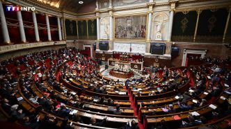 La création d'un "CDI senior" approuvé par l'Assemblée | TF1 INFO