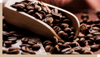 La consommation mondiale de café atteint des sommets malgré la flambée des prix