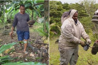 PORTRAITS. Rencontre avec Wassaumie Waxuie et Haeko Kauma, entrepreneurs à Lifou