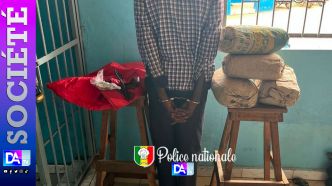 Trafic de drogue à Kolda : 4 kg de chanvre saisis, un dealer arrêté à Batanguel