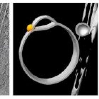 Découverte de structures inconnues dans les cellules humaines. A quoi servent-elles ?