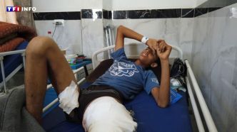 "Chaque jour, nous recevons des centaines de blessés" : inquiétude à Gaza autour des distributions alimentaires  | TF1 INFO