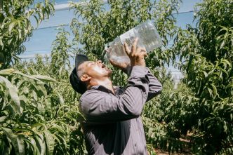 Canicule : 14 départements du sud-est toujours en vigilance orange