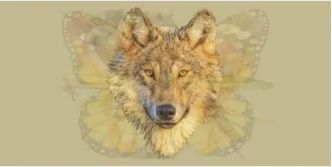 Test de personnalité : Quel animal voyez-vous en premier ?