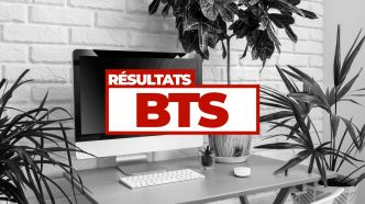 Les résultats du BTS 2025 à La Réunion