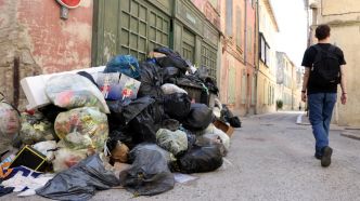 Grève des éboueurs à Arles, Saint-Martin-de-Crau et Tarascon : les agents reprendront le travail le 5 juillet