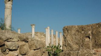 Découverte d'une tombe hellénistique vieille de 2 000 ans sous une route effondrée de Chypre