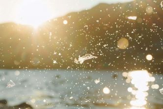 Des microplastiques retrouvés dans les fluides reproducteurs humains par des chercheurs