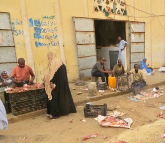 Mauritanie, un pays sans terrorisme, mais toujours sans touristes 