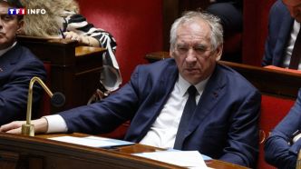 Plus de la moitié des Français souhaite voir le gouvernement de François Bayrou tomber | TF1 INFO